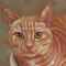 Bức tranh sơn dầu chân dung mèo - Vẽ bằng họa tiết Biến ảnh của bạn thành một bức tranh